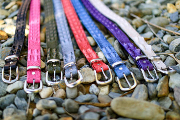 Double Hornback Belt- Special Edition