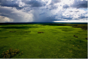 Incentive driven conservation