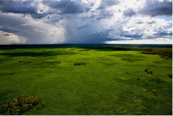 Incentive driven conservation