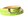 Belly Skin Belt- Bolds