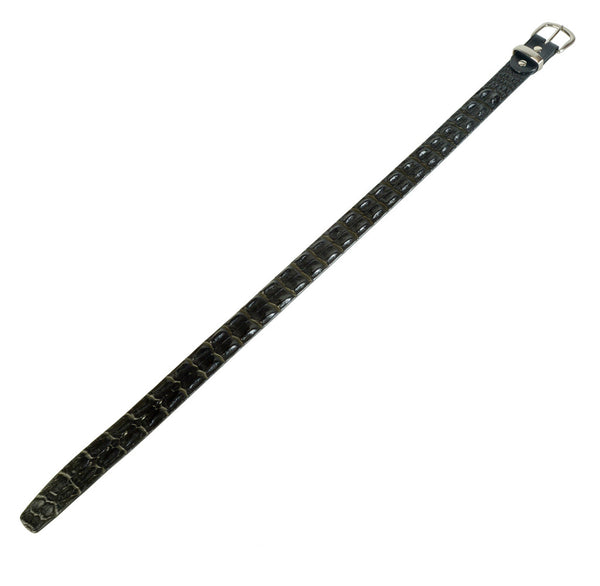 Double Hornback Belt