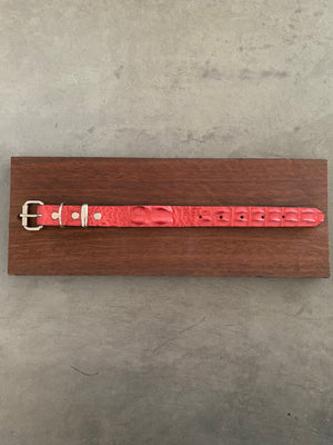 Dog Collar