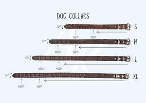 Dog Collar